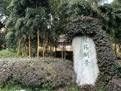 -十八棵（老龙井）御茶园(老龙井店)