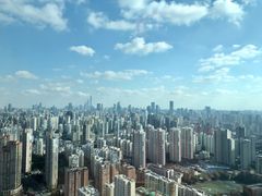 -环球港凯悦 · 享悦中餐厅