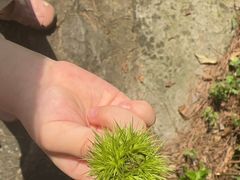 -双峰山国家森林公园-售票处