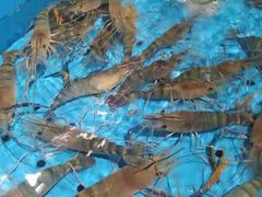 -福娣·金沙银贝海鲜火锅