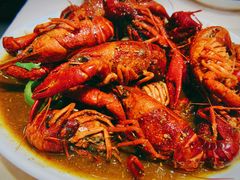 -怪怪龙虾·澳洲蓝龙王·深夜食堂(惊驾路店)