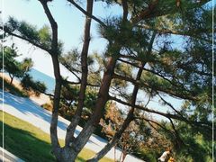 -威海国际海水浴场旅游区