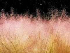 -苏州河梦清园环保主题公园