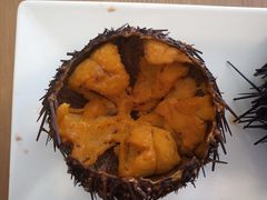 -海胆小馆(东北水饺·春柳店)