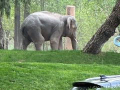 -北京野生动物园