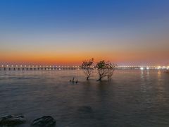 -宝安西湾红树林湿地公园