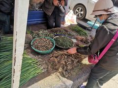 -李村大集