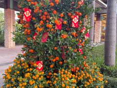 -海陵岛保利皇冠假日酒店·御公馆中餐厅 CANAL LNUA