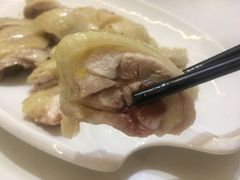 -欢乐海岸美食联盟