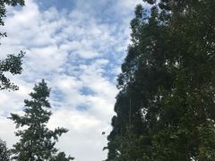 -白鹭湾湿地公园