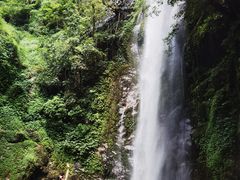 -莫里热带雨林景区