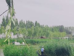 -白洋淀景区