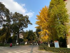 -四川大学(华西校区)