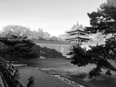 -北陵公园