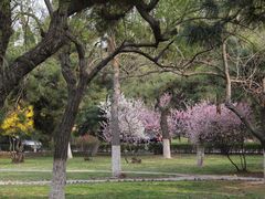 -辽宁大学(崇山校区)
