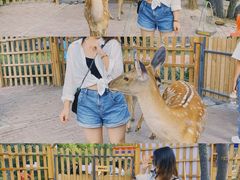 -水上乐园·欢乐世界