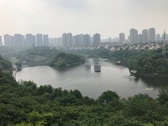 -重庆彩云湖湿地公园