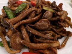 鹿茸菌炒猪爽肉-锦粤宫·融合粤菜(上海金沙江店)