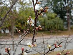 -水濂山水库景点停车场