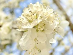 -安定门(地铁站)