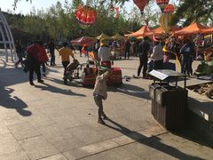 -龙口南山旅游景区