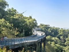 -金鸡山公园