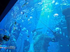 -波塞冬旅游度假区