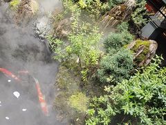 -唐河王记·南阳民间菜(国基路店)