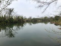 -西溪国家湿地公园