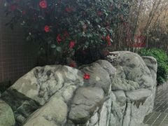 android_upload_pic-竹吟山房