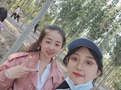-西青郊野公园