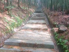 -天花井景区