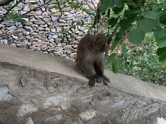 -北京上方山国家森林公园