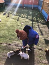 -萌宠亲子动物乐园(槐房万达店)