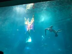 -福州罗源湾海洋世界旅游区