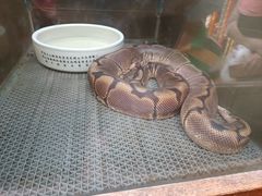 -上海昆虫博物馆