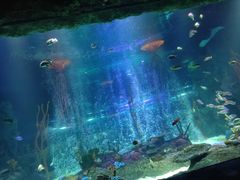 -沈阳海洋探索中心