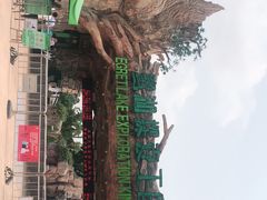 -美的鹭湖探索王国