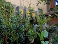 -润泽园椰子鸡(汇一城店)