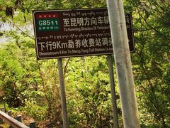 -野象谷景区
