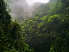 -龙水峡地缝景区