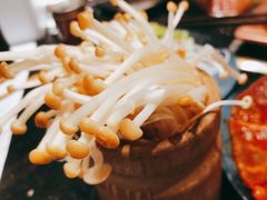 -王家渡火锅(三苏祠店)