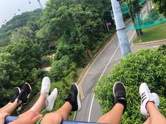 -圣淘沙天际线斜坡滑车