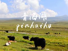 -青海湖国家重点风景名胜区