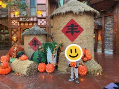 -郑州方特梦幻王国