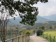 -龙坞茶村