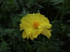 -打洛口岸