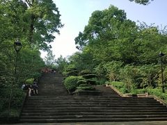 -南山植物园