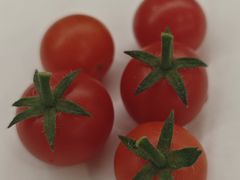 -中关村生命科学园