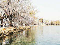 -颐和园